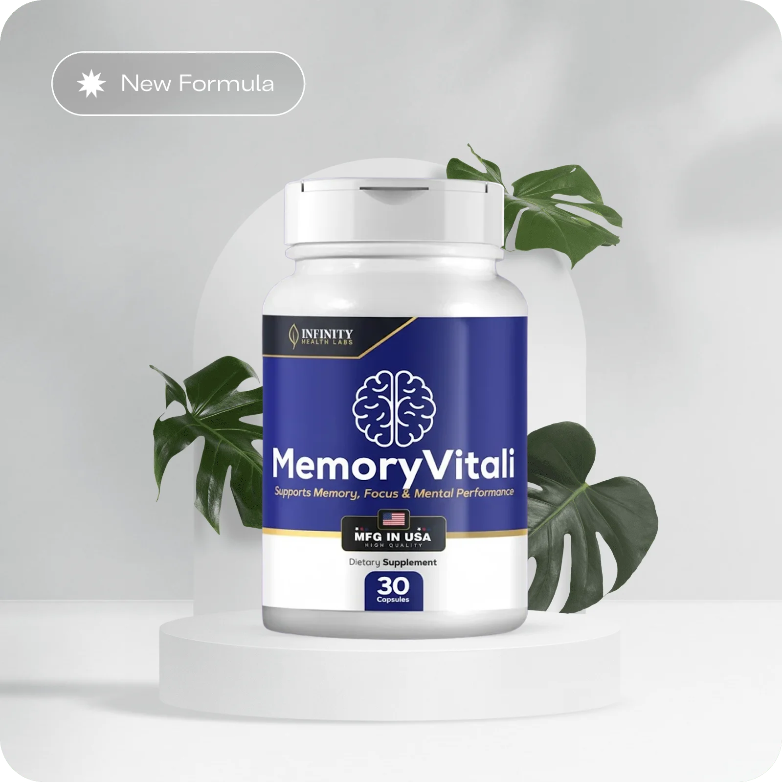 MemoryVitali Official Website